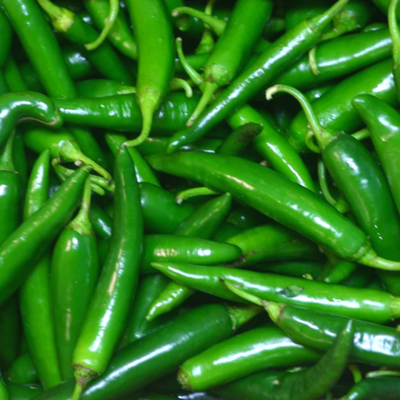Fresh Indian Green Chilli 250gm