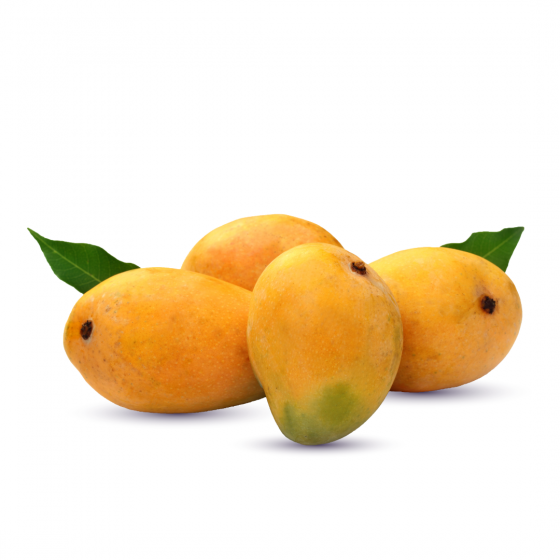 Flug Honig Mango 500gm