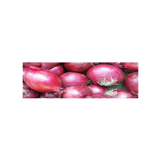 Fresh Small Onions 250gm